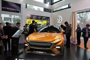 銷量欠佳、工廠放假、盈利受困 合眾汽車的量產野心與尷尬現實