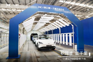智能運營賦能，雙月領跑新勢力賽道——解析連續登頂背后的戰略密碼