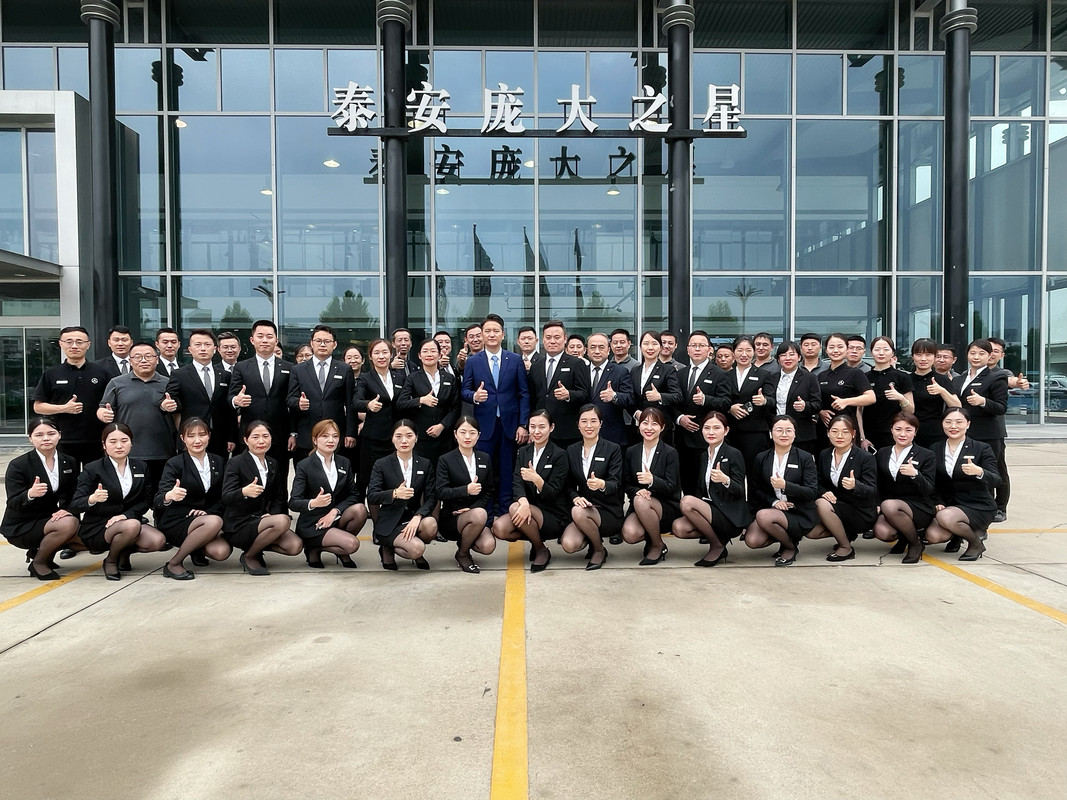 泰安龐大之星 龐大集團旗下汽車裝飾用品銷售服務的專業力量